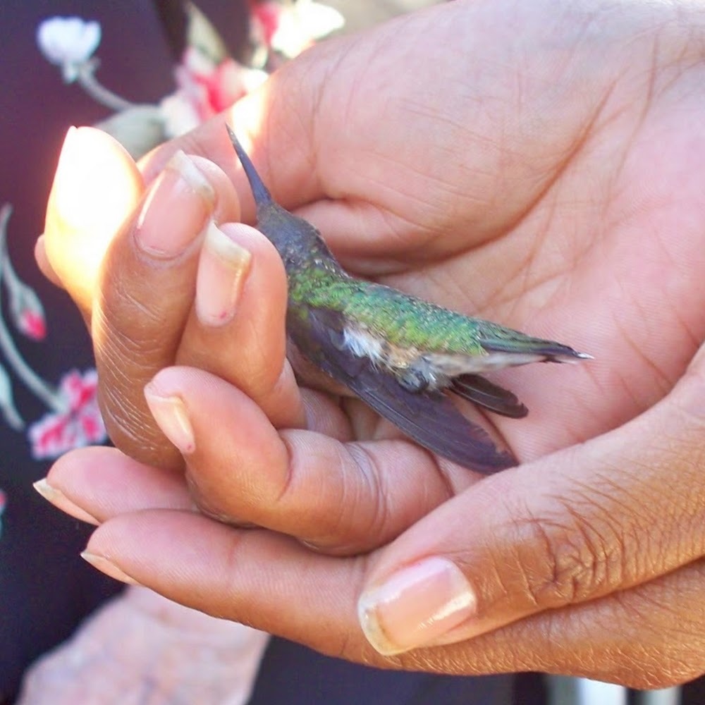 Meet your Posher, Maurita